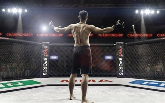برگزاری مسابقات MMA برای اولین بار در ایران/ زمان و مکان رقابت‌ها مشخص شد