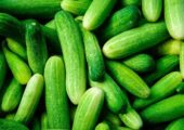 خیار: قهرمان گمنام آبرسانی و تأثیرات شگفت‌انگیز آن بر سلامت