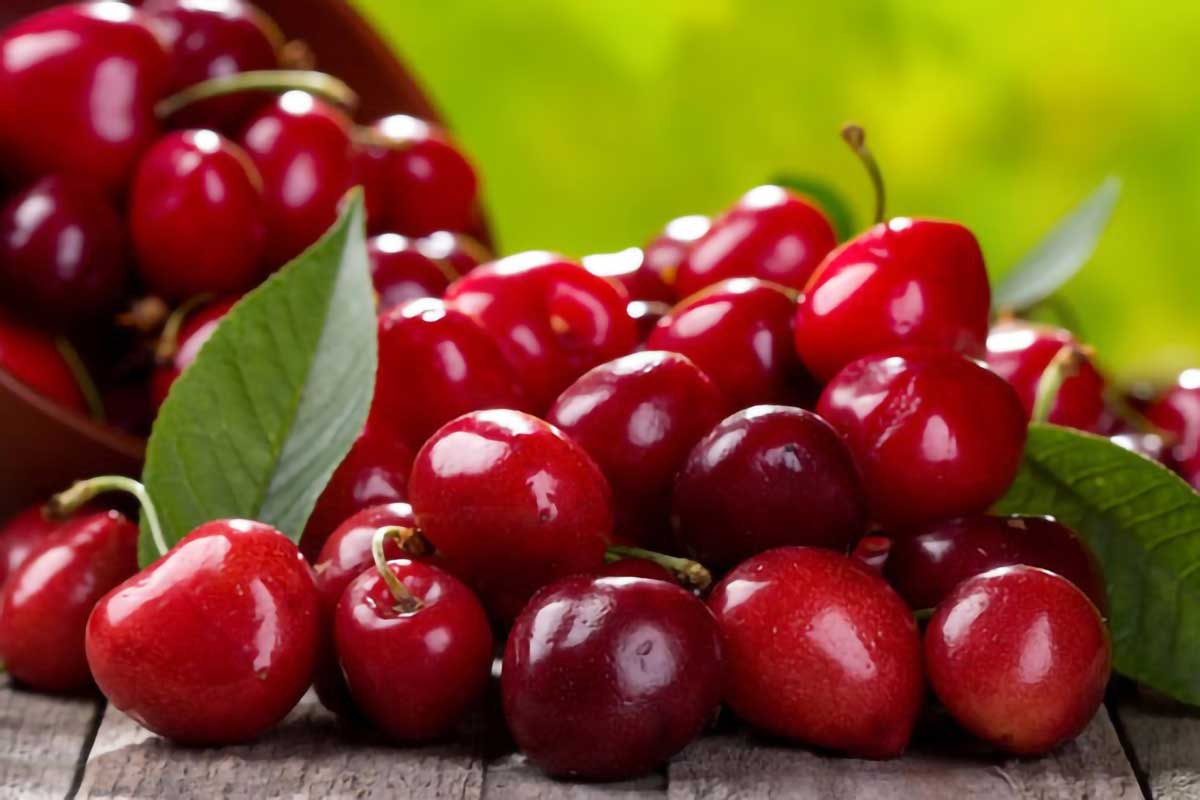 آلبالو: گنجینه ترش مزه و تأثیرات شگفت‌انگیز آن بر سلامت بدن