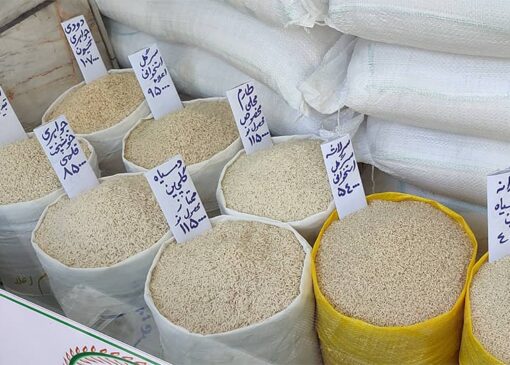 تحلیل وضعیت بازار برنج در ایران: احتمال افزایش قیمت و کاهش کیفیت