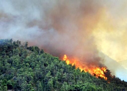 مهار ۹۵٪ آتش‌سوزی در جنگل‌های الیت — نجات «سبزِ هیرکانی» قبل از فاجعه کامل