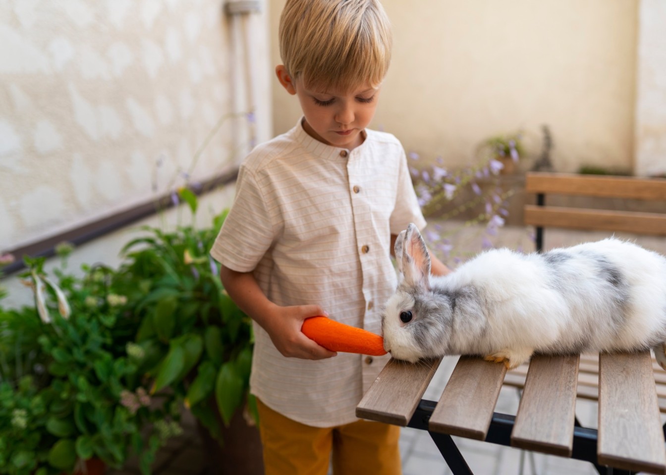 دوستان پشمالو و بالدار؛ راهنمای طلایی انتخاب و نگهداری حیوانات خانگی برای کودکان